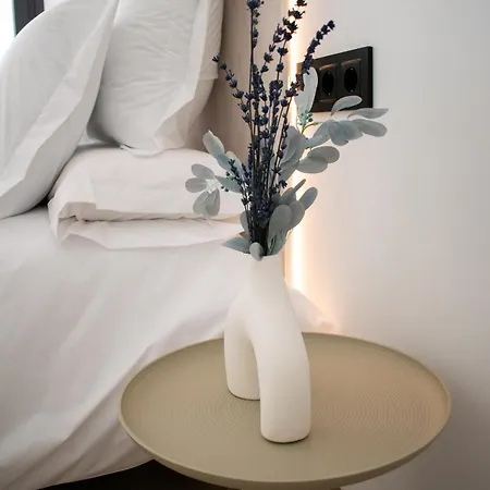 Surya Centro Apartamento