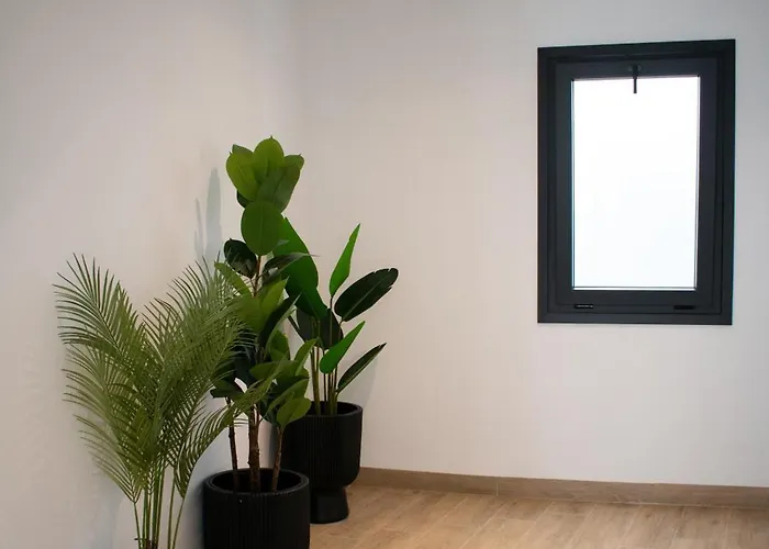 Lägenhet Surya Boutique